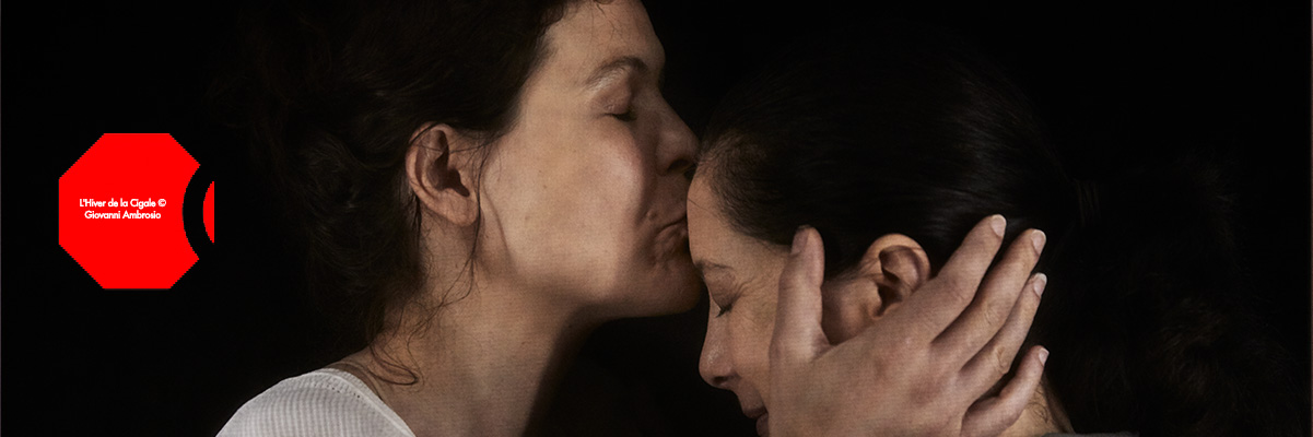 L'Hiver de la Cigale - visuel