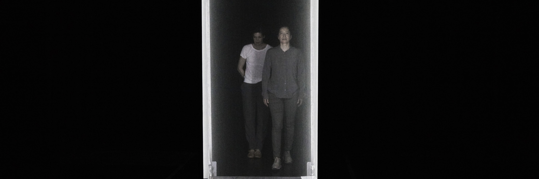 l'Hiver de la cigale